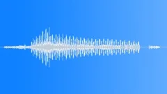 Failed Sound Effect
