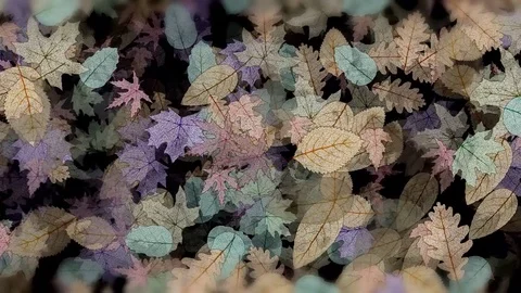 Failing_leafs Stock Footage