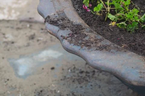 Failure in automatic irrigation system led to problem of flooding, subsequent Stock Photos