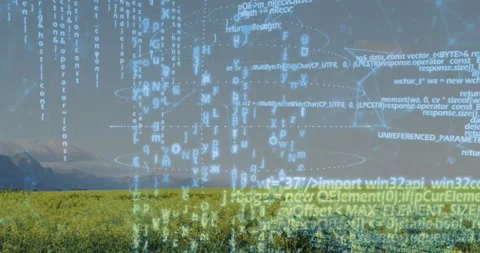 Faint code appearing over field, blocks sliding, rings forming, cascading code Stock Footage 317206319