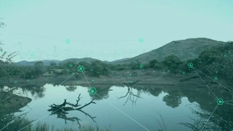 Faint cyan overlay starting teal nodes flowing to pond, settling by log and Video stock 334352088