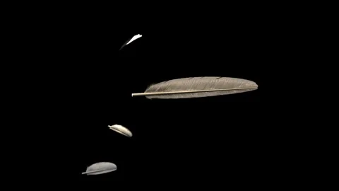 Faint glints forming long feather, 3 small feathers drifting and settling on Vídeos de archivo 346156754