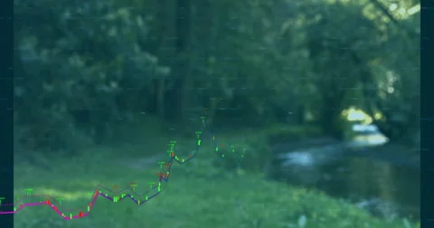 Faint magenta lines starting candlestick chart animation over woodland stream Stock Footage 310283702