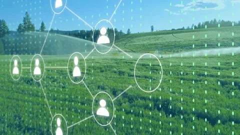 Faint marker pulsing, starting avatar nodes linking into data grid over field Video stock 334203454
