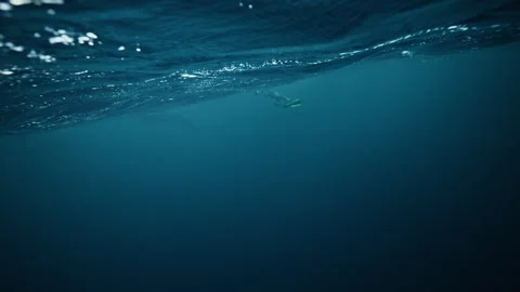 Faint Orca or Pilot Whale Shadow Beneath Arctic Fjord Stock Footage 335950577