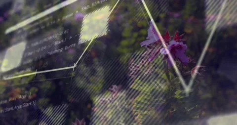 Faint overlay appearing, line chart moving right, flowers focusing right, layers Stock Footage 329576390