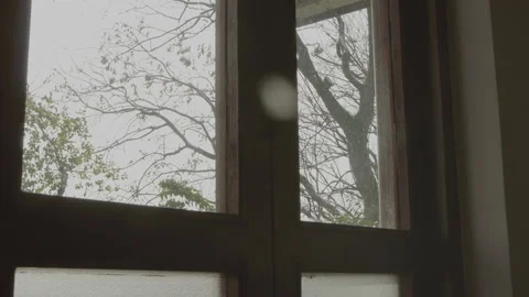 Faint sunlight and trees outside wooden doors and windows Stock Footage 166362414