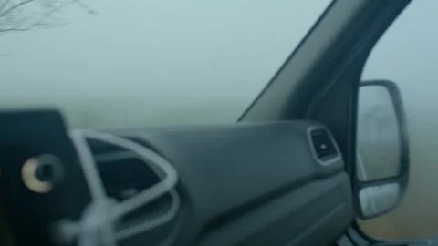 Faint trees shine, View reveals blurry trees and gentle interior glow Видео 334119368