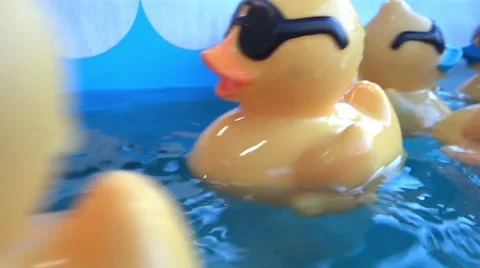 Fair Attaction -  Luck Ducks - 02 - Slow Motion Stock Footage 54761462