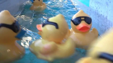 Fair Attaction -  Luck Ducks - 03 動画素材 54761180