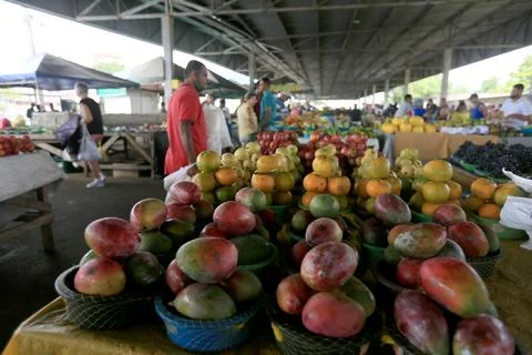 Fair in bahia Stock Photos