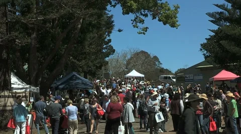 Fair Crowd Timelapse Stockbeeldmateriaal 8651392