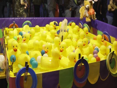 Fair duck game Video stock 80327503