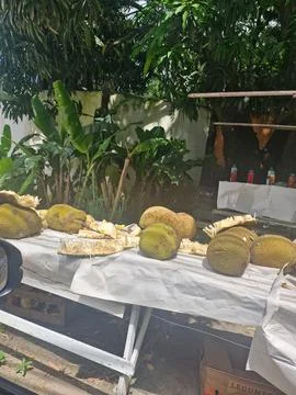 Fair with jackfruit Stock Photos