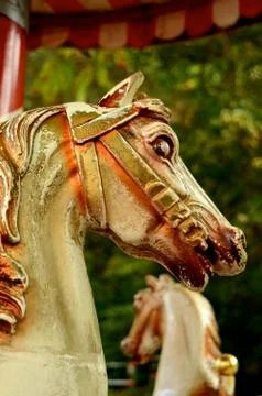 Fairground Horses Stock Photos