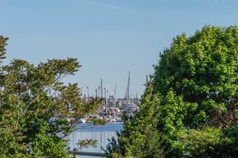 Fairhaven Shipyard seen through trees at Fort Phoenix Foto stock