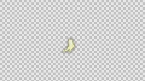 Fairies Flying on an Transparent in Alpha Channel Stock Footage 59164784