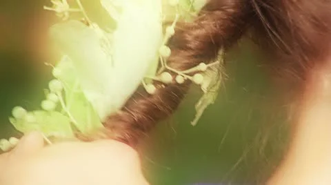 Fairies of the Forest 库存影片 11290919