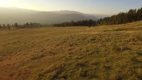 Fairview fly Stock Footage 243461531