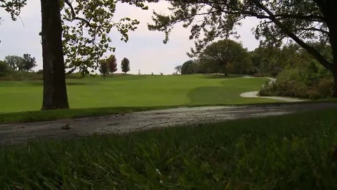 Fairway and cart path Stock Footage 69188441