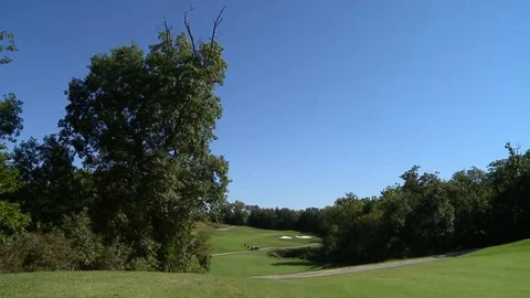 Fairway and tree tilt Stock Footage 69197337