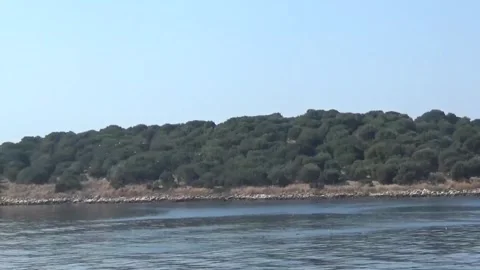 Fairy Bot sails past a beautiful small Greek island where pine trees grow 库存影片 335758703