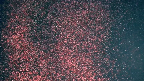 The fairy floating of red particles. slow motion Stock Footage 160059939