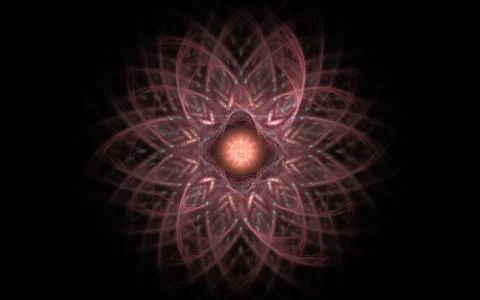 Fairy flower on a dark background Stock Illustration
