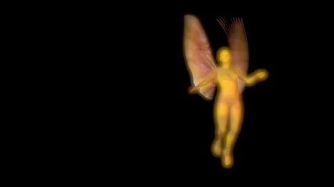 Fairy flying wings flapping . 3d animation 库存影片 104531513
