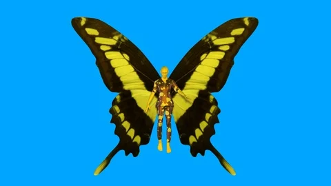 Fairy flying wings flapping . 3d animation. Yellow, black colors Stock Footage 104531535