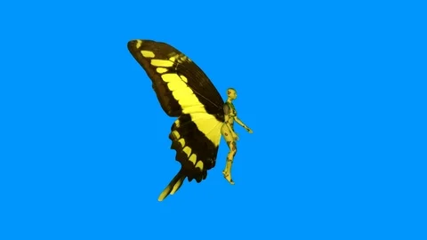 Fairy flying wings flapping . 3d animation. Isolated on solid blue background Stock Footage 104531544