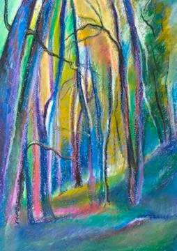 Fairy forest Illustrazione stock