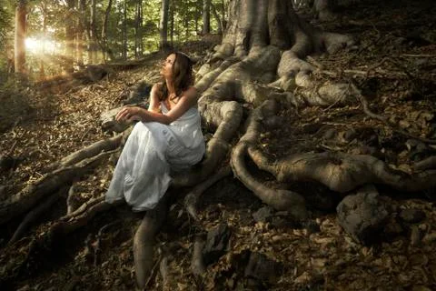 Fairy of the forest Stock Photos