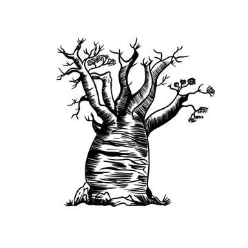 Fairy forest tree baobab black and white sketch illustration Stock Illustration