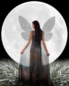 Fairy in front of a Moon. Stock Photos