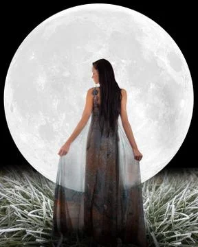 Fairy in front of a Moon. Stock Photos