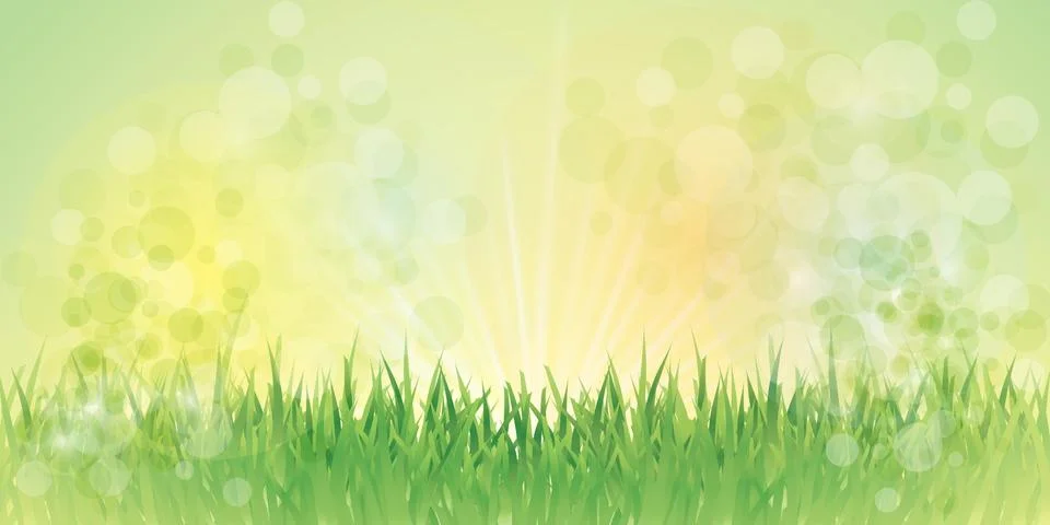 Fairy grass background Stock Illustration
