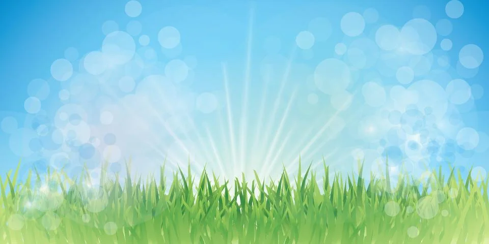 Fairy grass background Stock Illustration