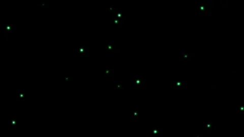 Fairy Green Fireflies Forest Loop 4K Magic Particles Stock Footage 328931486