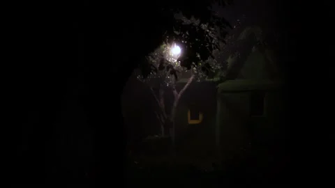 Fairy house at night. Видео 143643752