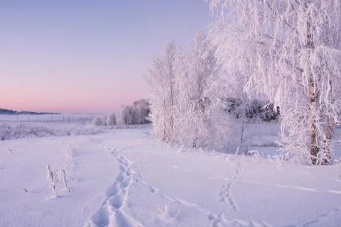 Fairy landscape Stock Photos