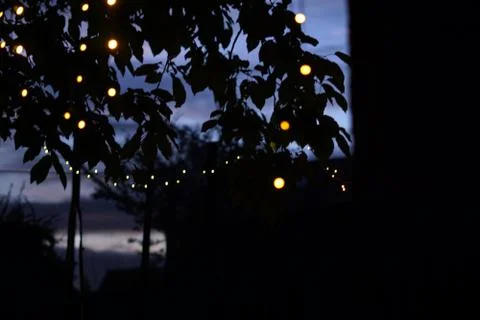 Fairy Light Stock Photos