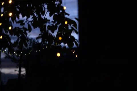 Fairy Light Stock Photos