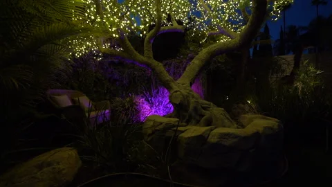 Fairy light tree with purple uplighting in a dark garden at night Stock Footage 345540337