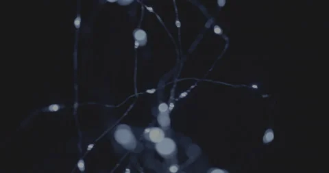 Fairy Lights Abstract Movement Close Up Stock Footage 167522227