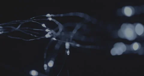 Fairy Lights Abstract Movement Close Up Stock Footage 167522254