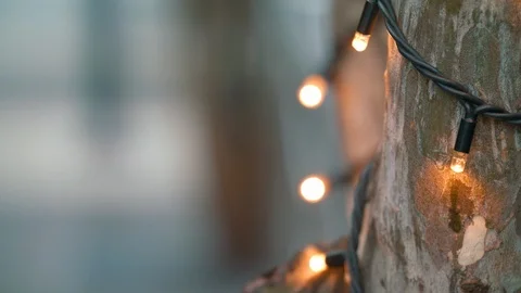 Fairy lights on tree background 1 Stock Footage 86926975