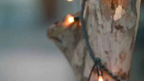 Fairy lights on tree background 2 Stock Footage 86927452
