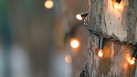 Fairy lights on tree background 3 Stock Footage 86927943