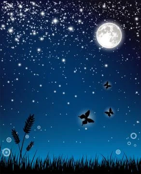 Fairy night Stock Illustration